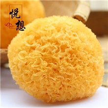 【产地直批】特级古田银耳/白木耳/丑耳/黄金耳/糯耳食用菌批发