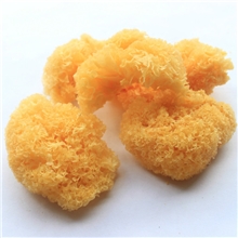 【产地直批】银耳银耳块丑耳块小朵丑耳食用菌干货