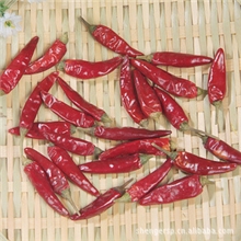 【产地直批】福建辣椒王辣椒王干辣椒调味纯辣椒不参椒