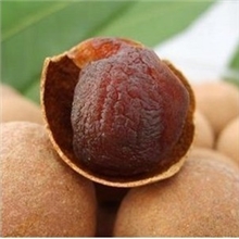 AAA特级储良龙眼干，个头大，肉厚。20斤起批，原产地批发