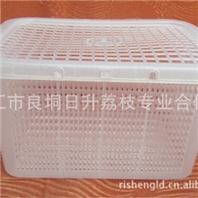 1.5公斤小包装桂味荔枝