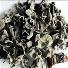 毛木耳批发*客家黑木耳*毛木耳*野生毛木耳