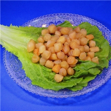 瑶柱海珍八宝瑶柱高营养优质干贝