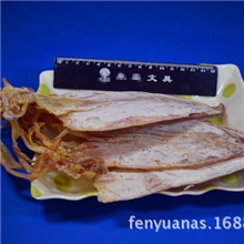 批发鱿鱼干A一级大鱿鱼干海鲜优质品鱿鱼干