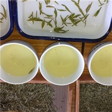 【厂家供应】象山天池翠清香型绿茶日照绿茶批发