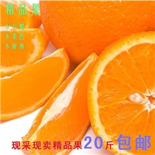 信明赣南脐橙/信丰脐橙安西脐橙产地水果直销