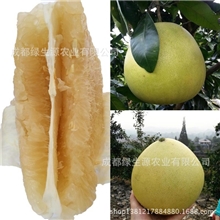 新鲜水果琯溪蜜柚批发零售6斤装2个起批产地直销酸甜爽口