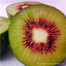 批发超优质超口感有机无污染正宗奇异果红阳猕猴桃