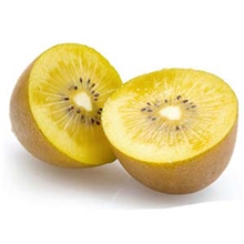 批发优质黄心金艳猕猴桃奇异果十一月成熟超口感好味道