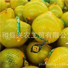 【专业品质】供应高档天然环保蜜柚欢迎选购（图）