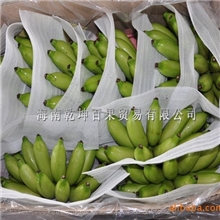 供应优质香蕉好品种香蕉（图）