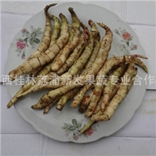 【产地直销】专业供应天然健康珍品美味虫草地参西施地参