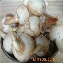 【优质直销】专业供应桂林荔浦慈姑茨菰