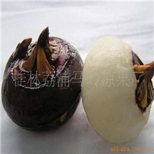 厂家直销批发供应马蹄各类规格削皮白马蹄