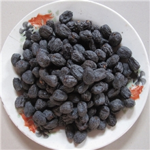 特价新河北特产野生新鲜特级无核黑枣软枣迁君子500g可药用不包邮