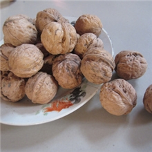 新货河北涉县野生核桃散装非薄皮纸皮坚果孕妇首选2斤装