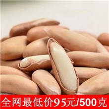 【供应批发】香之韵进口特级壳薄手剥巴西松子500g小包装