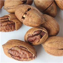 临安坚果特产批发一级中尖碧根果长寿果奶油口味5公斤∕箱