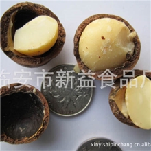 夏威夷果奶油味夏威夷果炒货坚果休闲零食10斤厂家批发