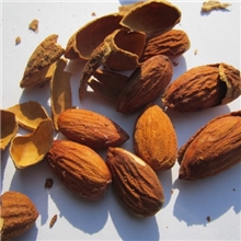 巴旦木【新益坚果】休闲食品巴旦木开口杏仁NP级直销