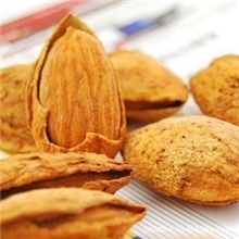 杏仁批发开口杏仁兆吉牌美国加州薄壳杏仁杏仁厂家批发
