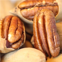 厂家直供坚果零食兆吉牌中圆美国山核桃碧根果长寿果批发