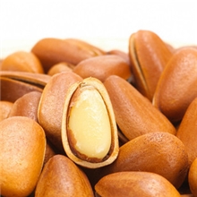 厂家直销杭州临安兆吉牌特级松子休闲食品批发暂缺货