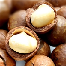 夏威夷果批发坚果零食兆吉牌特级南非奶香夏威夷果