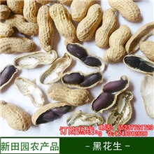 河南特产农家自种黑花生带壳低脂富硒抗衰老干果炒货零食