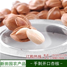 小白杏杏核新疆特产坚果手剥开口五香杏仁香脆可口坚果炒货批发