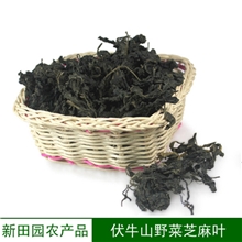 小额批发脱水芝麻叶绿色食品芝麻叶干菜伏牛山特产山野菜