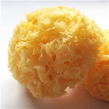 银耳木段白木耳野生雪耳丑耳无硫软糯东北特产食用菌干货