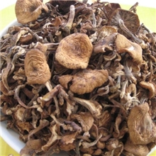 批发【威虎】东北土特产剪根野生蘑菇10斤/1箱食用菌