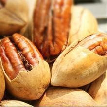 新疆特产正宗野核桃碧根果长寿果奶油味送礼送健康