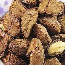 批发鲍鱼果坚果之王供应原味沙漠果新疆干果营养零食