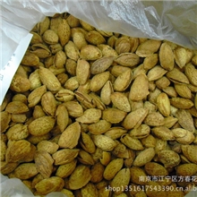 薄壳NP壳杏仁，一箱10斤杏仁巴旦木互赢牌阿大牌