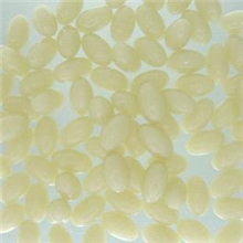 羊胎素软胶囊出口加工,出口软胶囊OEM,上海OEM软胶囊