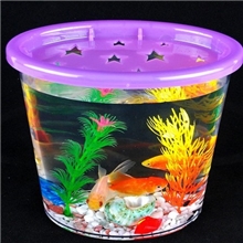 小鱼缸批发，迷你水族箱小鱼缸厂家斗鱼缸斗鱼杯
