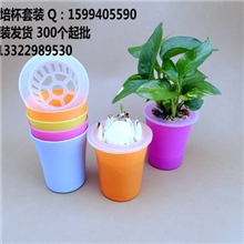 水培杯套装系列四色混批1元1套水培套装容器水培花卉植物