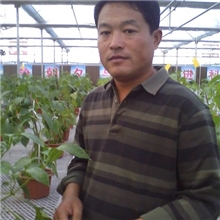 陕西苹果专用有机肥