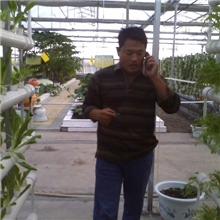 蔬菜专用有机肥