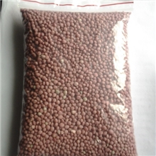 氨基酸、硝态氮系列产品