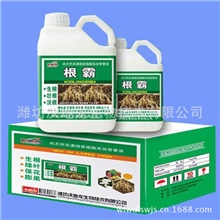 大量供应生根剂质量优质效果好【图】