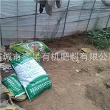 河北生物有机肥现代农业的首选肥料增产丰收量大从优诚招代理