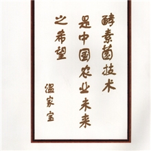 供应天正绿地牌新型（生物酶制剂）植物生长调节剂