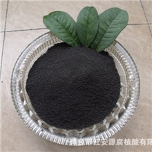 江西萍乡厂家供应高纯度高活性腐植酸钾粉末（20目-40目)