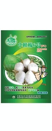 农资名牌优质种子中植棉6号高产棉花种子