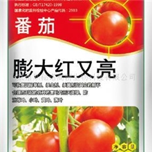 供应番茄膨大红又亮