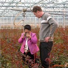 供应多种高品质的捕食螨