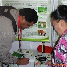 供应捕食螨--以螨治螨好处多